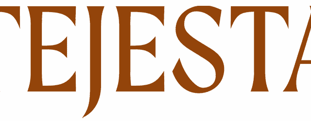 Tejesta-Horizontal-Logo